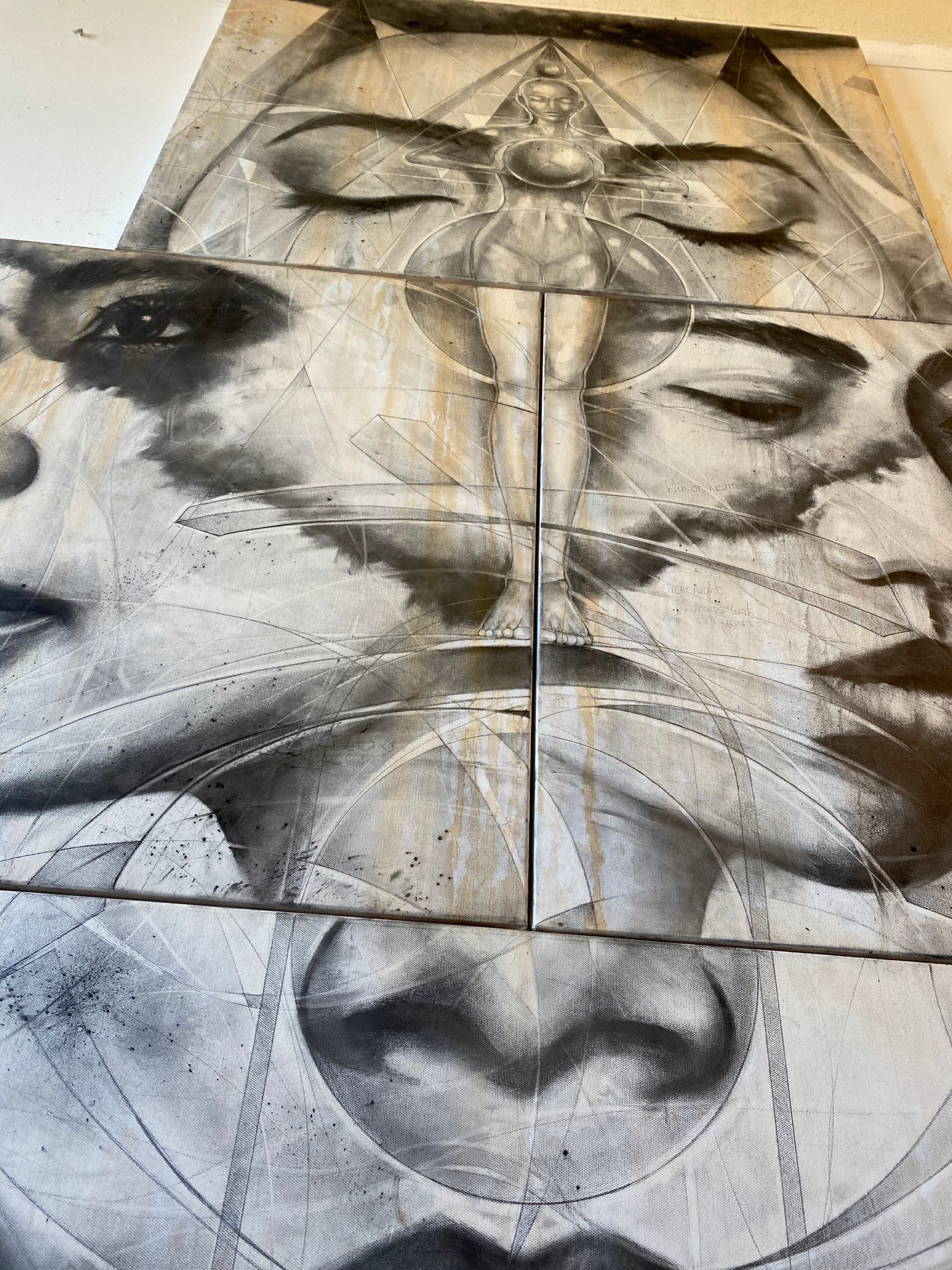 "Beauty To Abrasion" Mixed media on canvas 152cm x 306cm (6 panel Enigma)