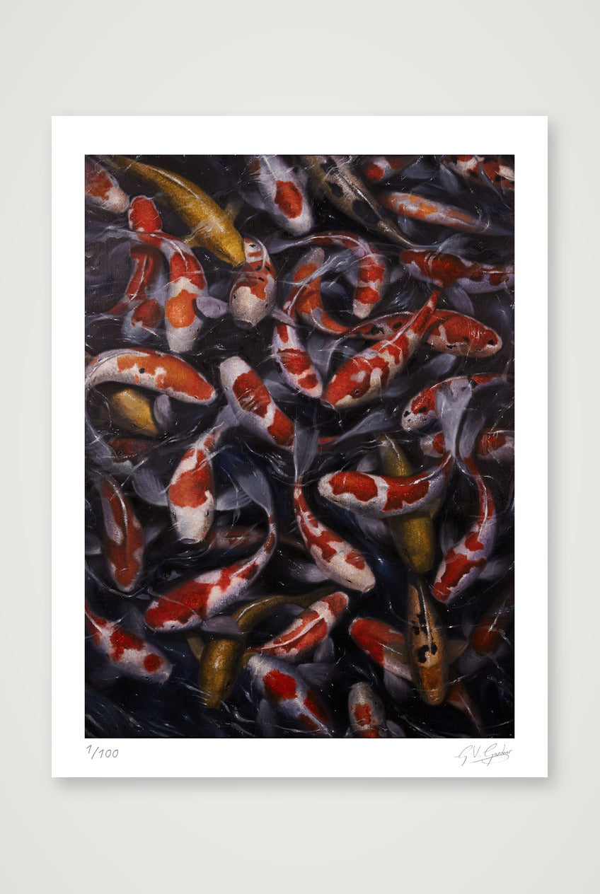 Koi_1 — 30×40cm, 12×16" Print only