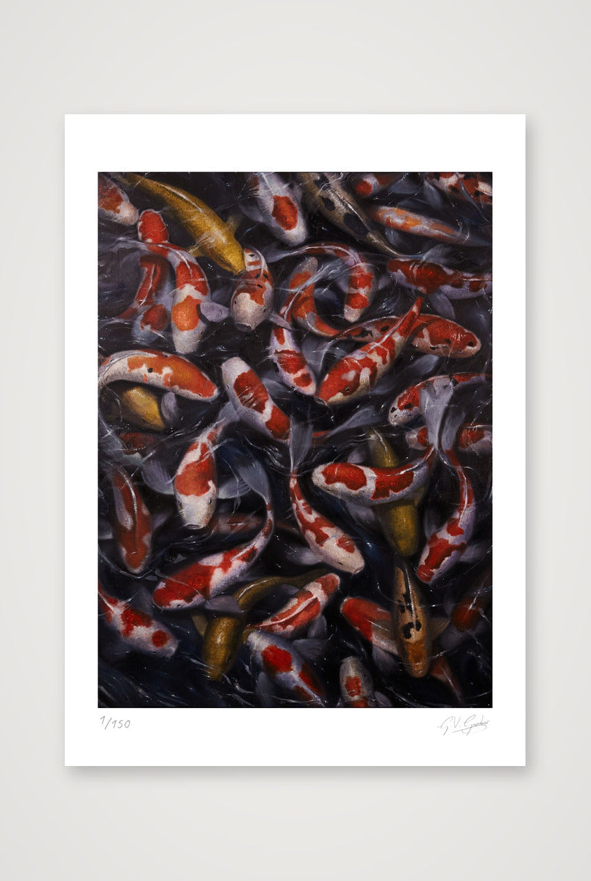 Koi_1 — A4 (21×30cm, 8×12") Print only