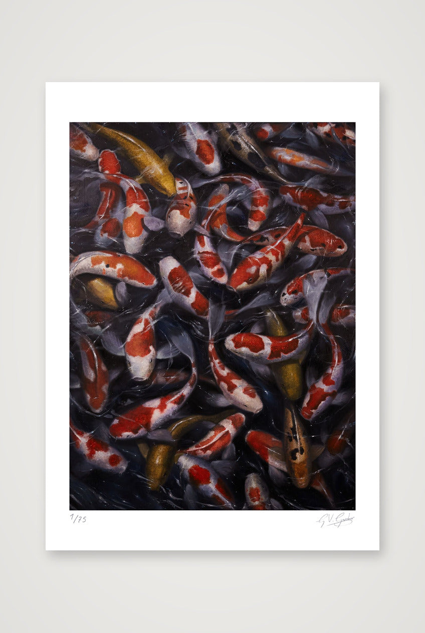 Koi_1 — 42×59cm, 17×23" Print only
