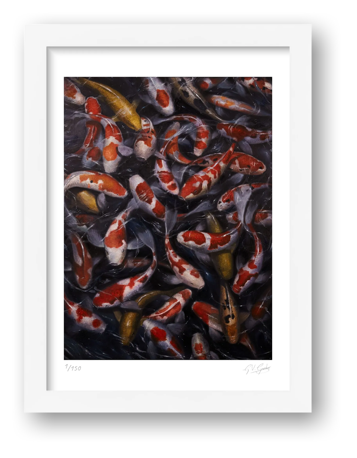 Koi_1 — framed
