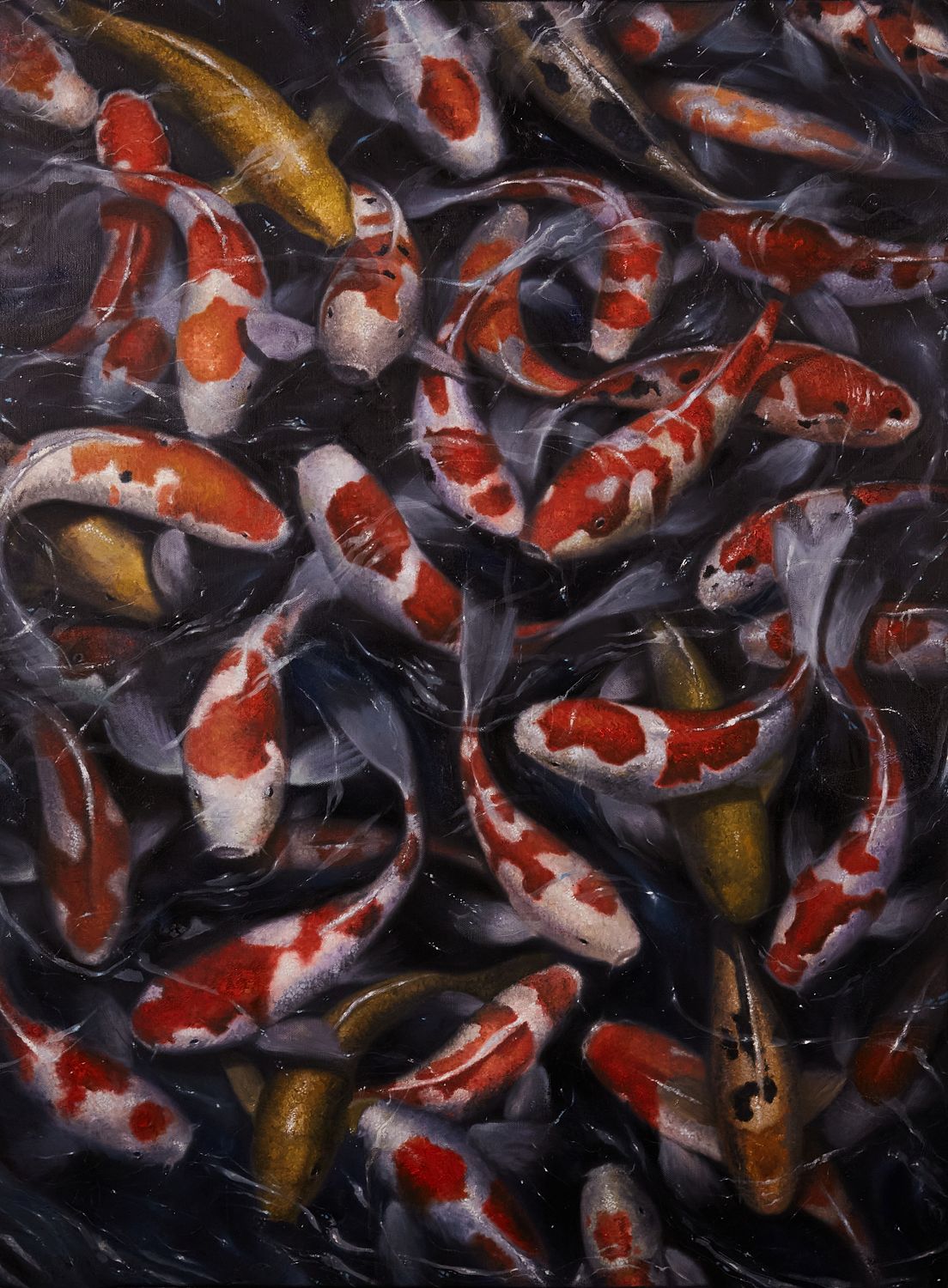 Koi_1