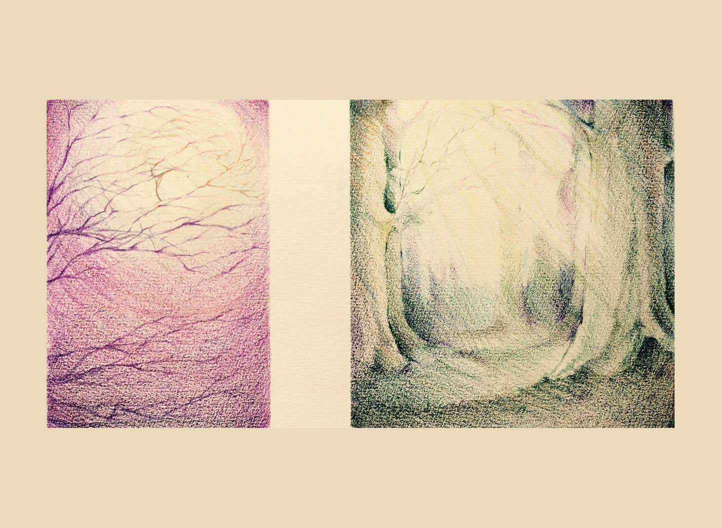 Whispering Wood_Book Illustration