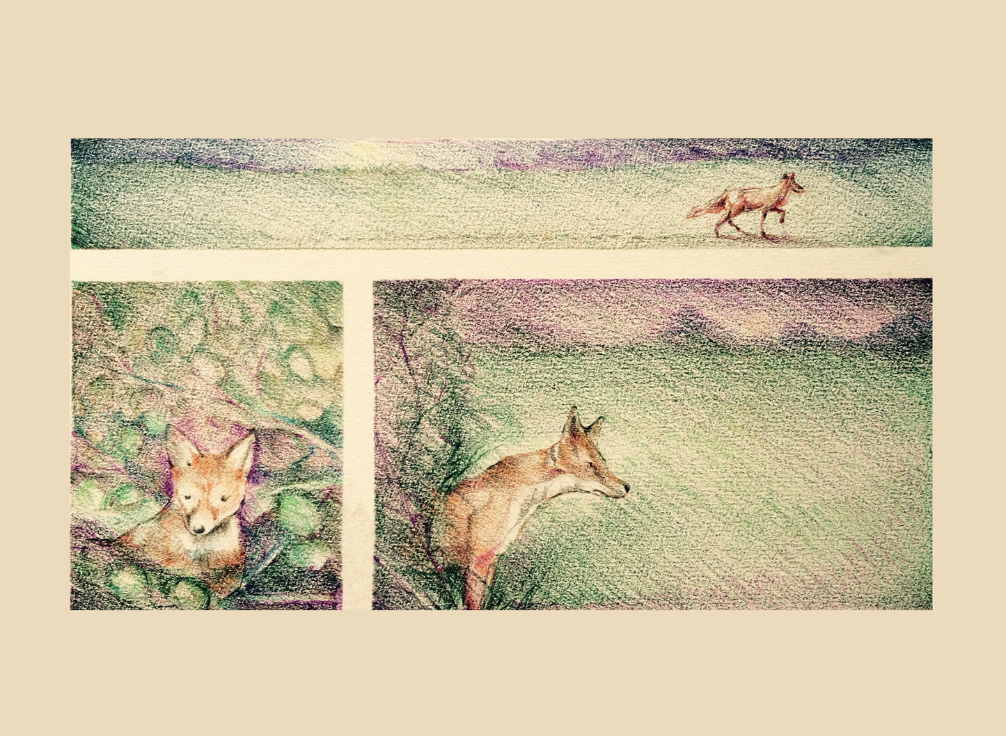 Whispering Wood_Book Illustration