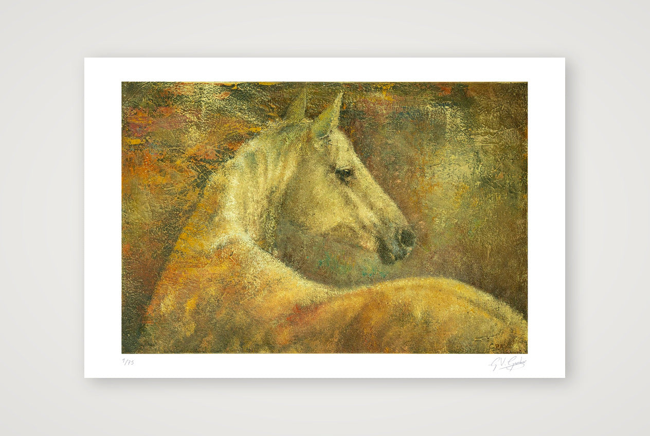 A Grace of Gold — 60×40cm, 24×16" Print only