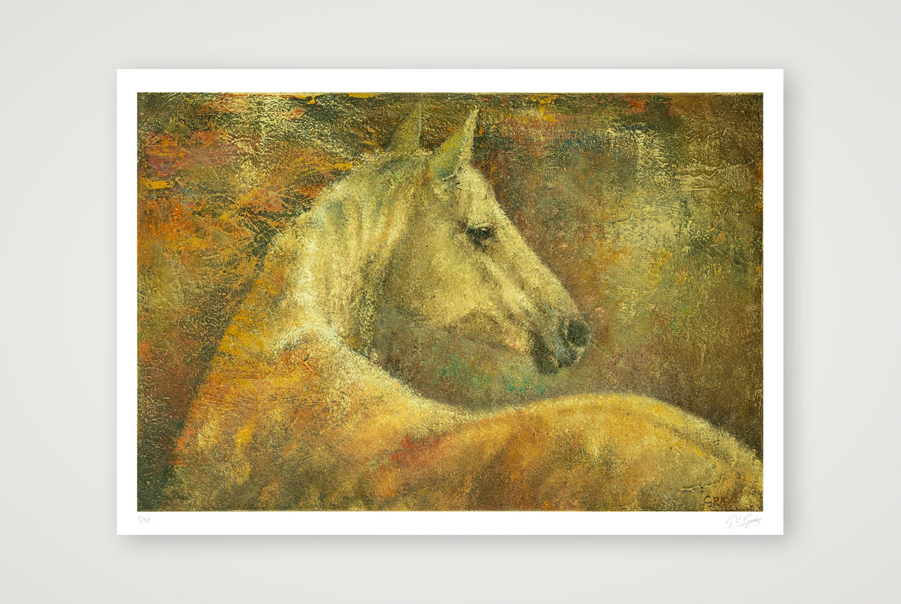 A Grace of Gold — 100×70cm, 39×28" Print only