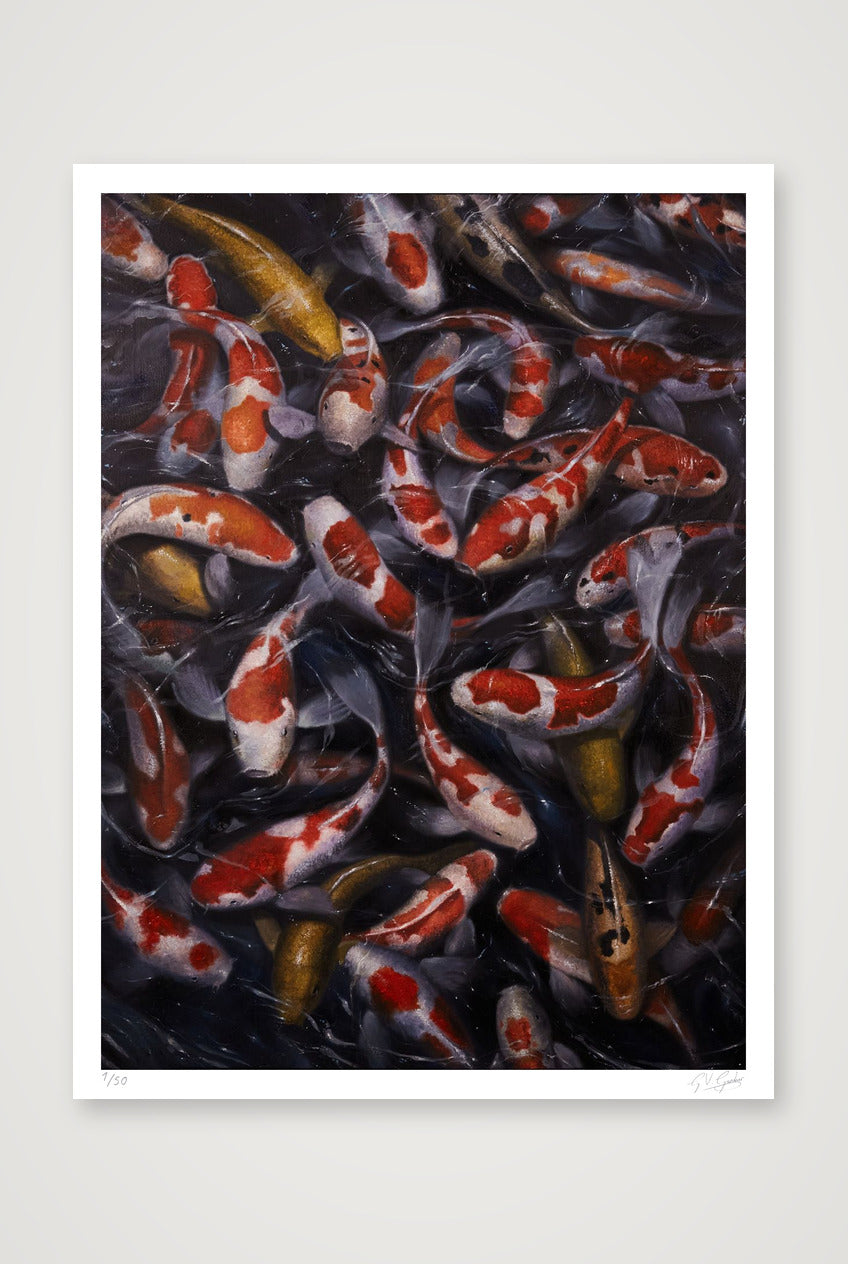Koi_1 — 60×80cm, 24×31" Print only